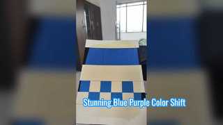 Bunglon Biru dan Ungu